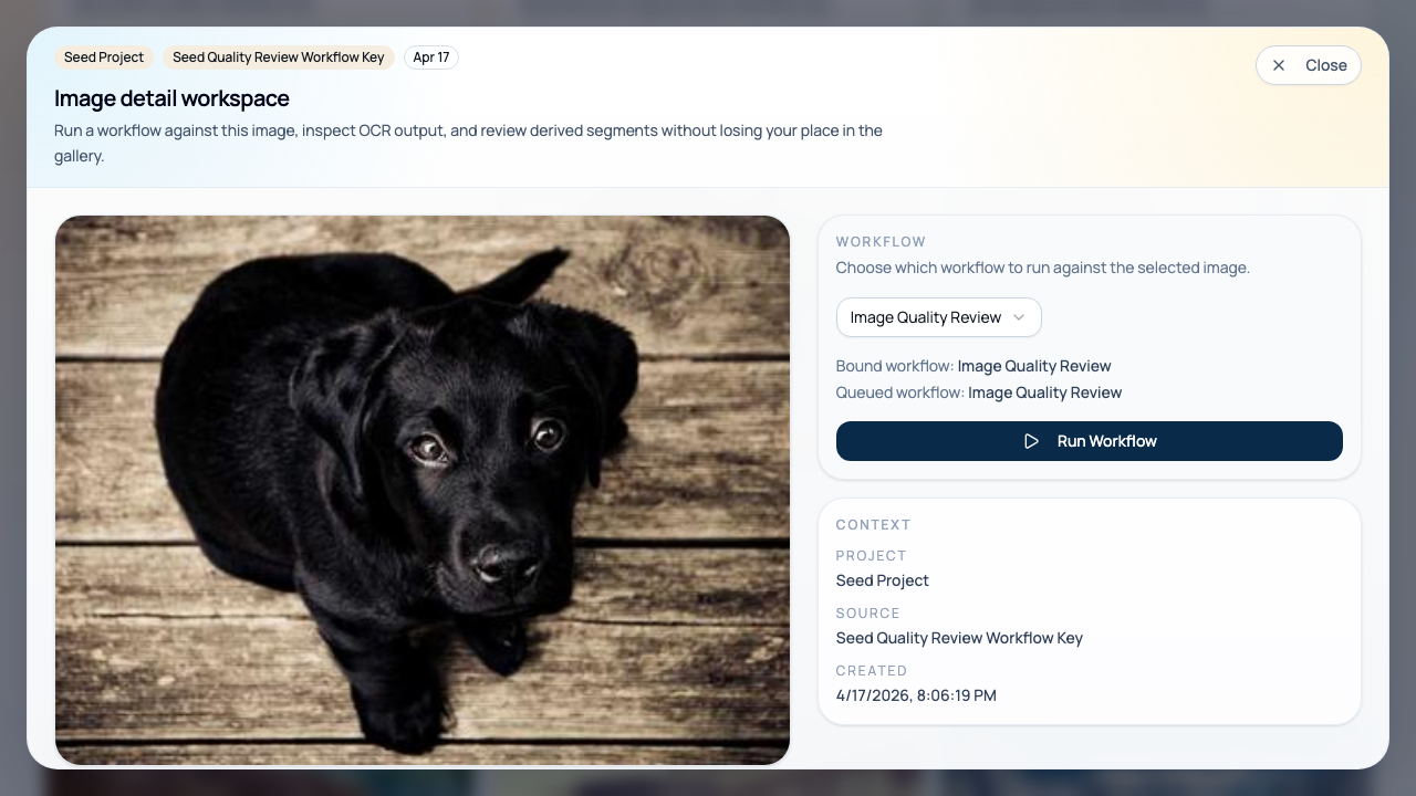 Selected document with a related segmented result